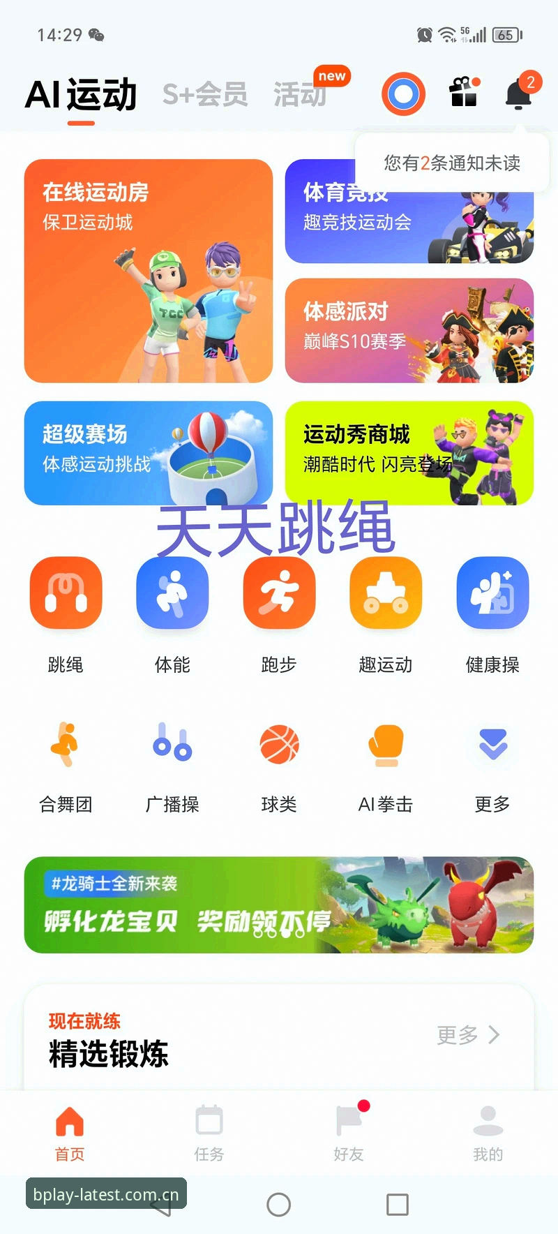 B体育APP官网下载实用指南：从安装到高效使用的必备知识