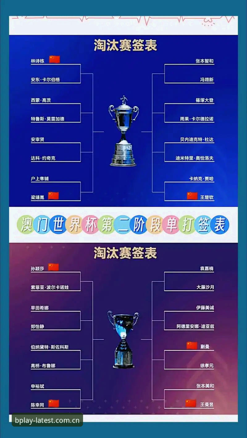 资深用户分享：在B体育APP官网追踪U17世界杯抽签的独家体验与实战心得
